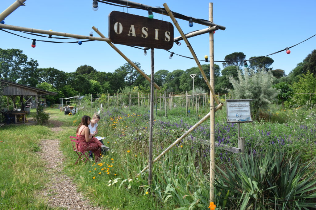 Team-Building oasis